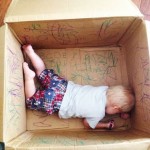 insidebox